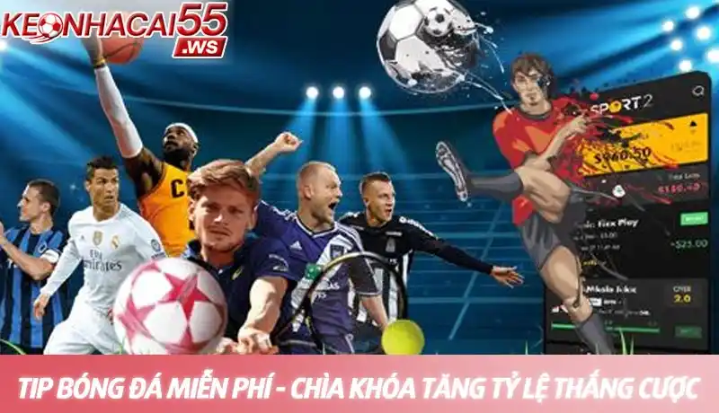 Tip bóng đá miễn phí - Nhận định soi kèo chất lượng và uy tín mỗi ngày 7 Tip bóng đá miễn phí - Chìa khóa nâng cao tỷ lệ thắng cược